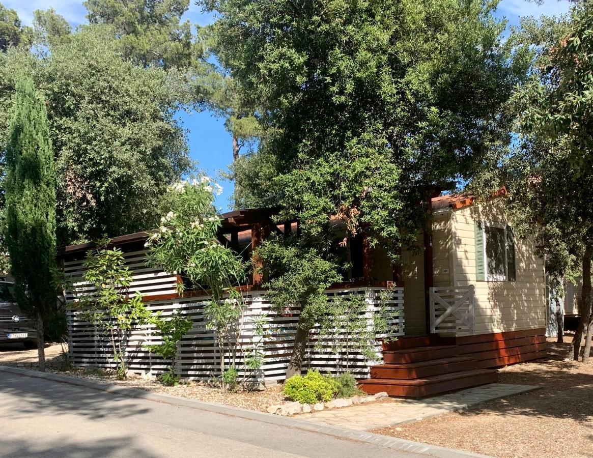 Pine And Lavander Home Biograd Na Moru Ngoại thất bức ảnh