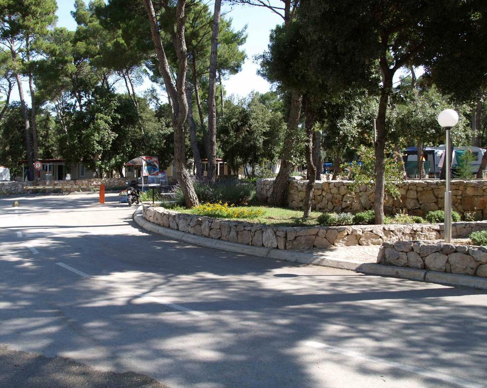 Pine And Lavander Home Biograd Na Moru Phòng bức ảnh